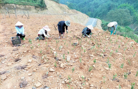 Cùng nhau làm việc