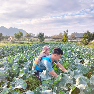 Làm việc và chăm con