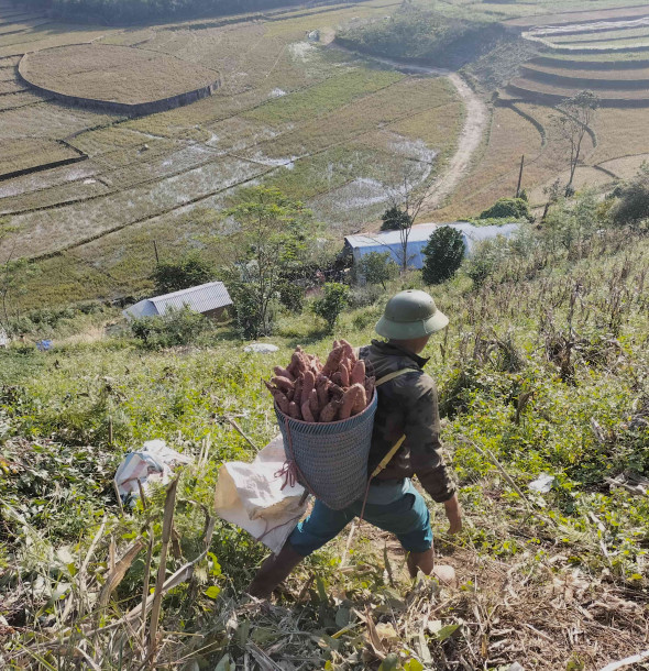Quy trình vận chuyển rau sạch tới tay khách hàng