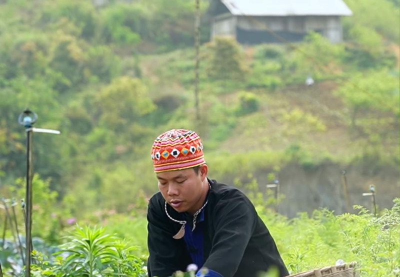 Rau Hữu Cơ Vân Hồ Retreat – Hương Vị Xanh Cho Những Giấc Mơ Trẻ Thơ