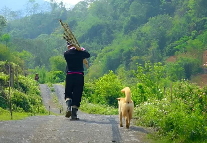 Rau Hữu Cơ Vân Hồ Retreat – Những Cánh Đồng Xanh Cho Tương Lai