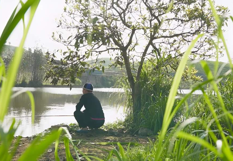 Những Bàn Tay Xanh Giữa Mưa Núi Sơn La