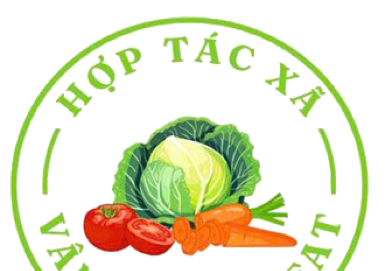 Giới thiệu về Hợp tác xã Vân Hồ Retreat