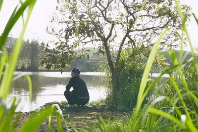 Những Bàn Tay Xanh Giữa Mưa Núi Sơn La