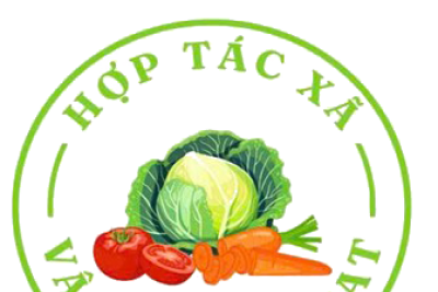 Giới thiệu về Hợp tác xã Vân Hồ Retreat