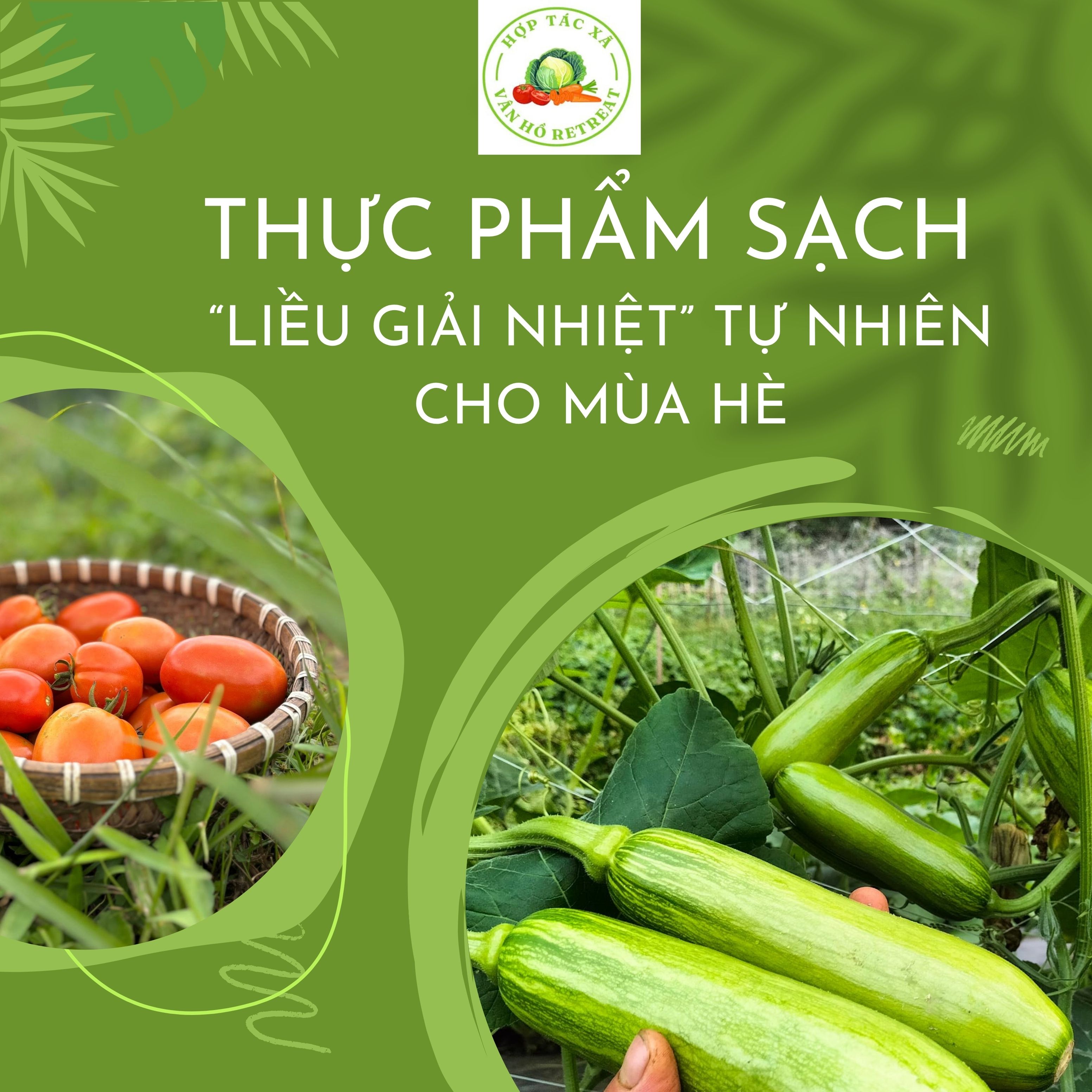 HTX Vân Hồ Retreat