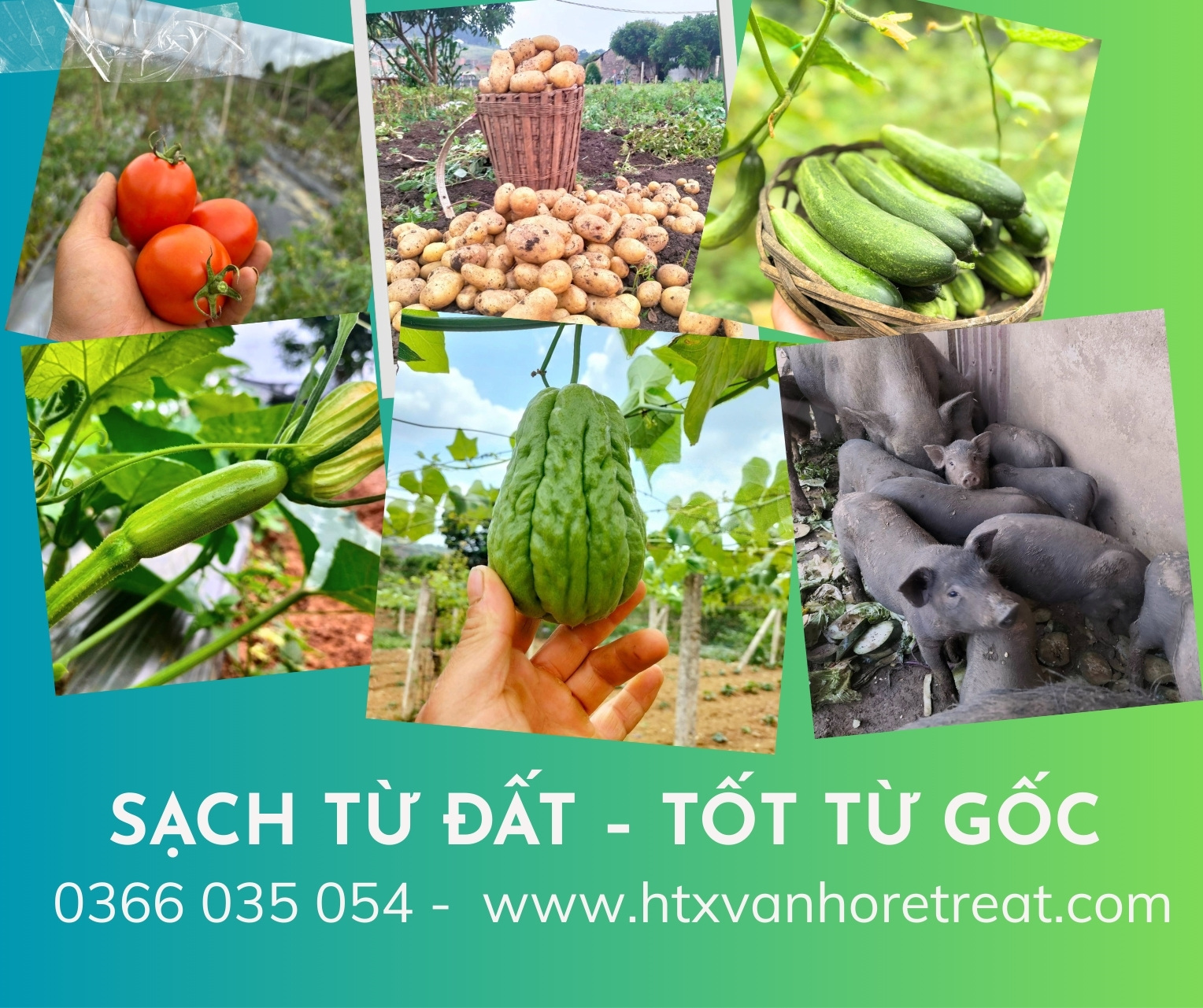 HTX Vân Hồ Retreat