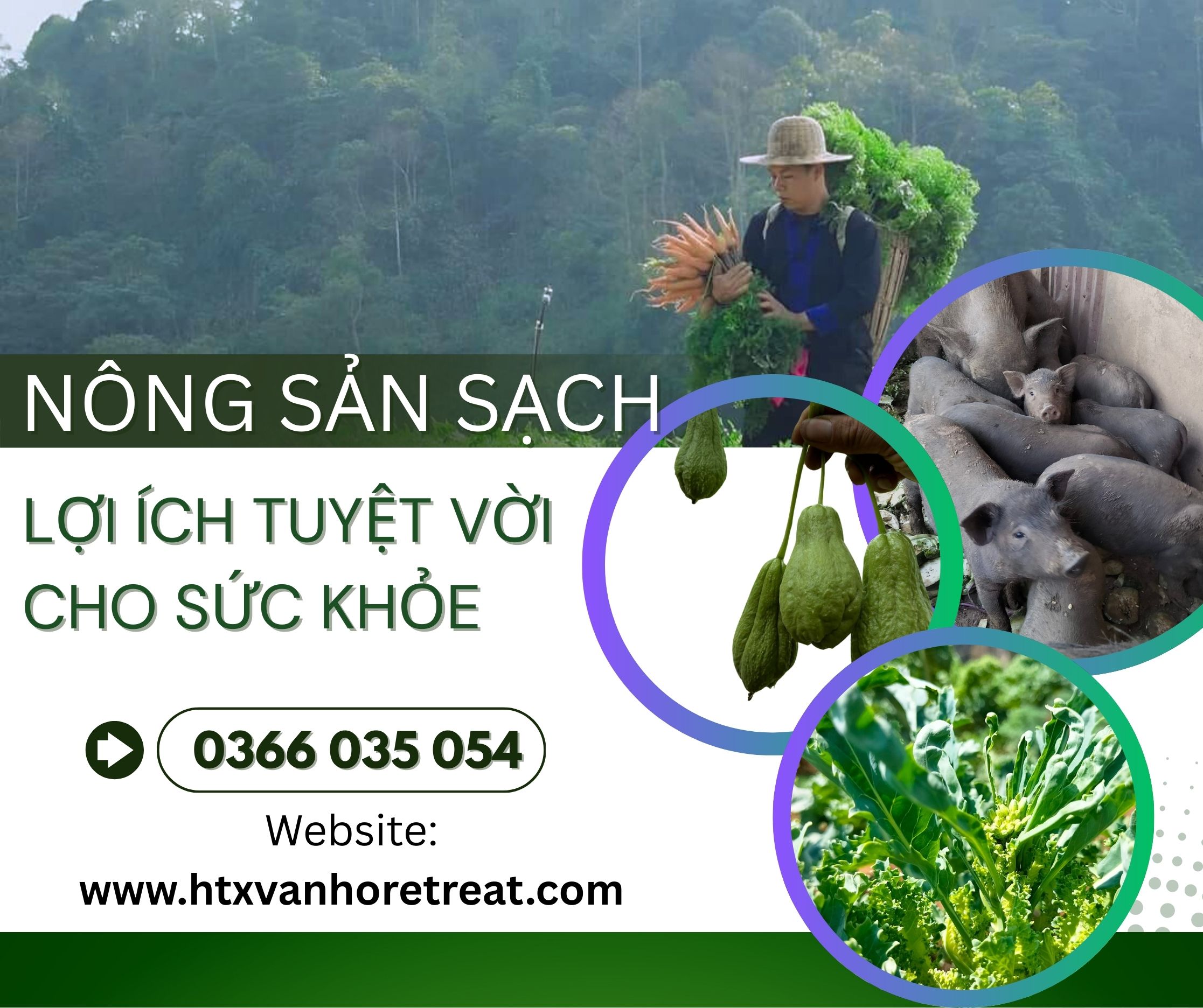 HTX Vân Hồ Retreat