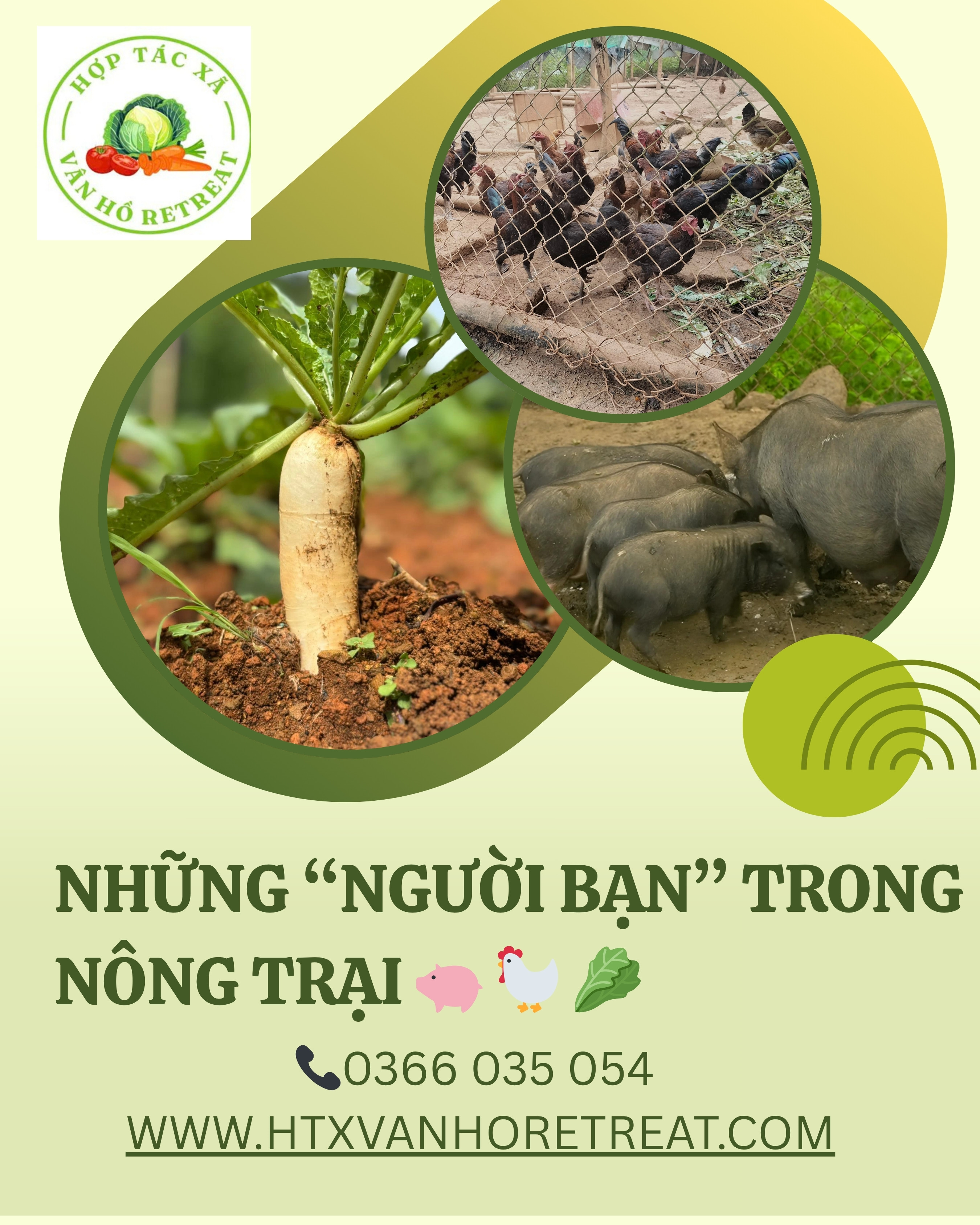 HTX Vân Hồ Retreat
